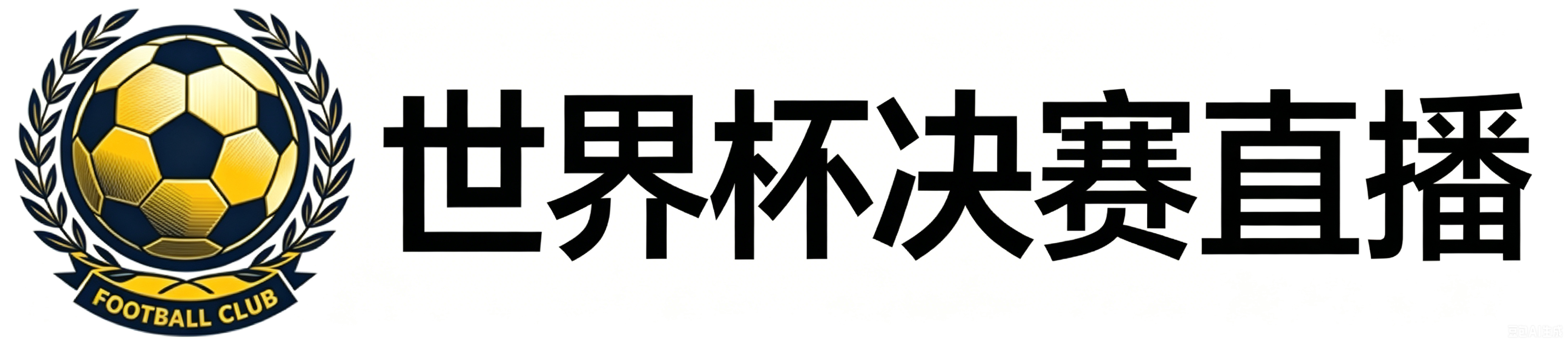 世界杯决赛直播